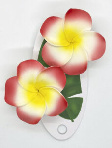 2セットプルメリアピン