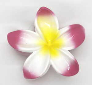 プルメリアバンスクリップ