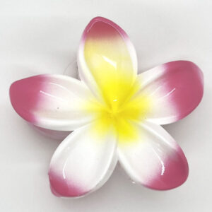 バンスクリップ